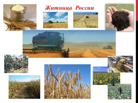 Природа Кубани