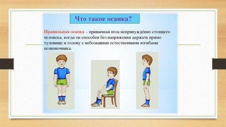 Правильное и неправильное положение спины