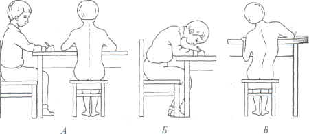 Правильная осанка картинки