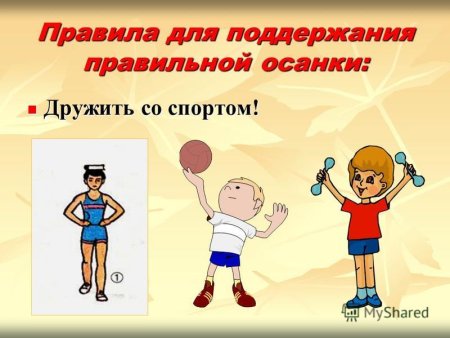 Правильная посадка за столом