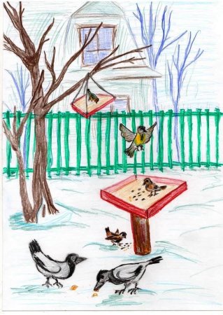 Столовая для зимующих птиц