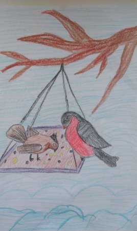 Мошкин Птичья столовая