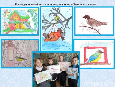 Рисование кормушка для птиц старшая группа