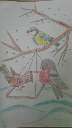 Кормушки для птиц зимой