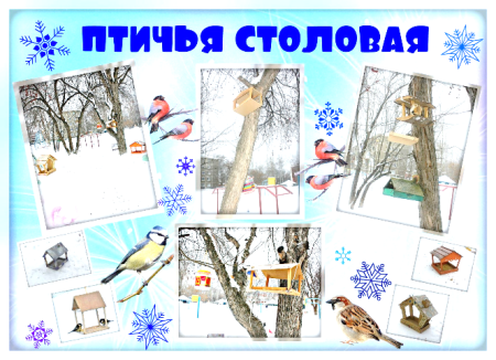 Зимующие птицы рисунок