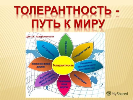 Ромашка толерантности