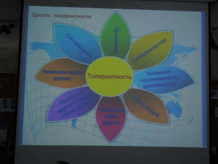 Цветок толерантности картинка