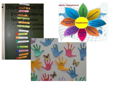 Цветок толерантности