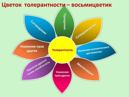 Цветок толерантности презентация