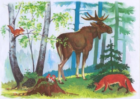 Иллюстрации с дикими животными