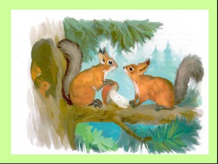 «Белки» (по и. Соколов Микитову)