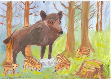 Раскраски Дикие животные зимой