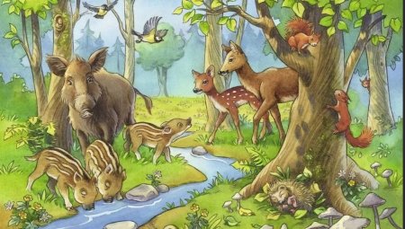 Экосистема лес