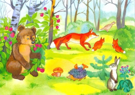 Медведь заяц лиса еж волк белка Дикие животные