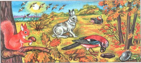 Обитатели леса для детей