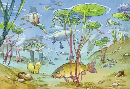 Поделка обитатели водоемов