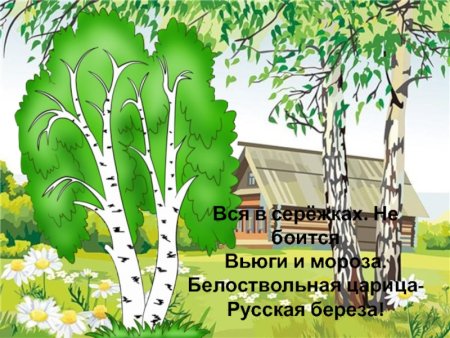 Рисунок на тему русская Березка