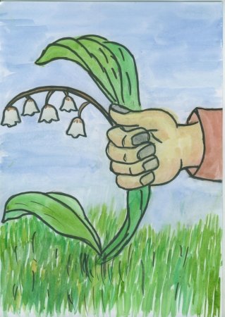 Плакат берегите растения