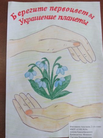 Плакат в защиту первоцветов