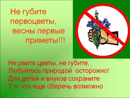 Не рвите первоцветы