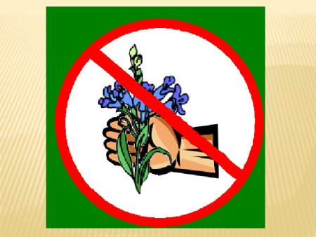 Знак не рви цветы