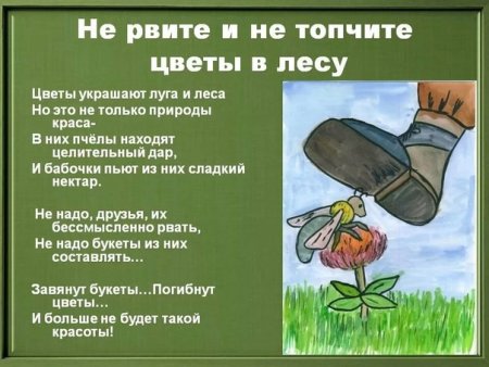 Нельзя рвать цветы