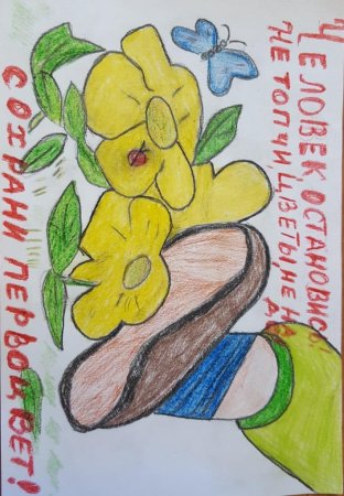 Листовки в защиту первоцветов