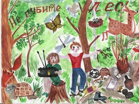 Плакат защита леса