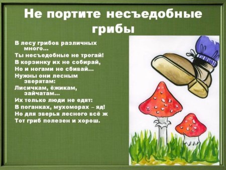 Рисунок на тему береги растения