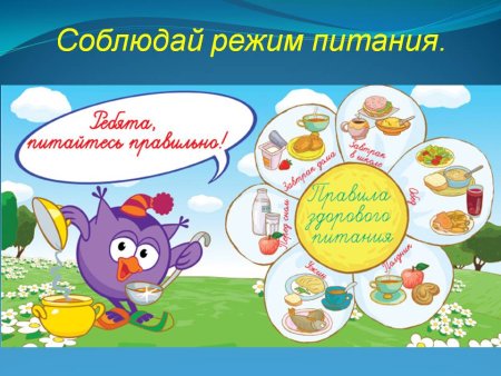 Здоровое питание малышей