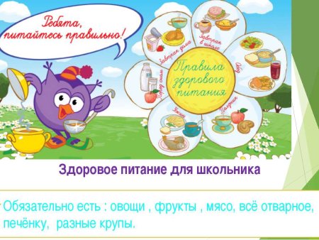 Правила здорового питания