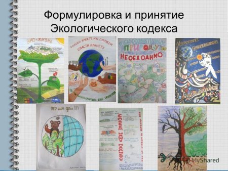 Экологический кодекс