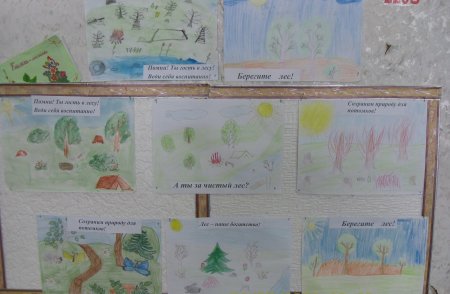 Экологический проект про лес