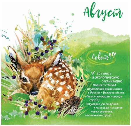 Экологический календарь