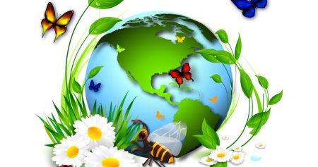 Юный эколог