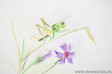 Шествие кузнечиков Прокофьев