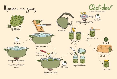 Рецепты в картинках Chef DAW огурец