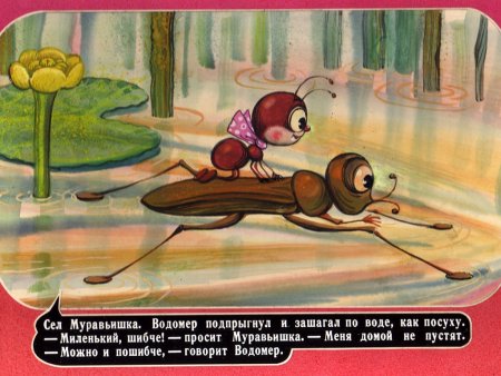 Майский Жук Бианки