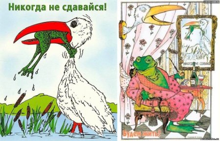 Никогда не сдавайся!
