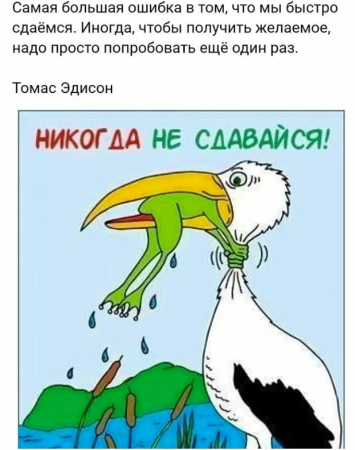 Никогда не сдавайся лягушка и цапля