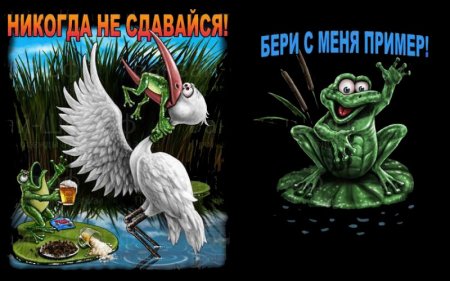 Никогда не сдавайся лягушка и цапля