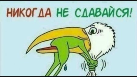 Никогда не сдавайся!