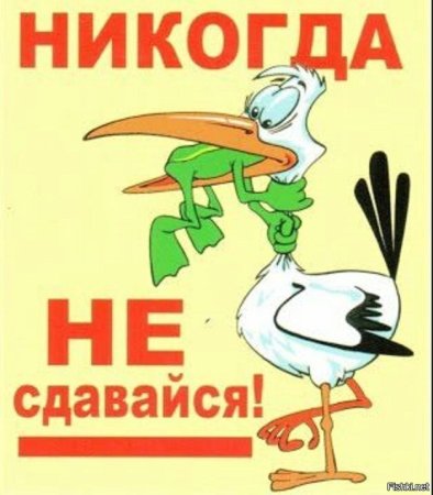 Никогда не сдавайся пла