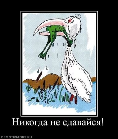 Жаба душит