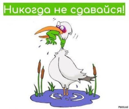 Никогда не сдавайся!