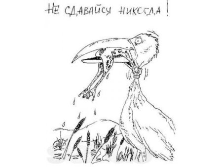 Никогда не сдавайся рисунок