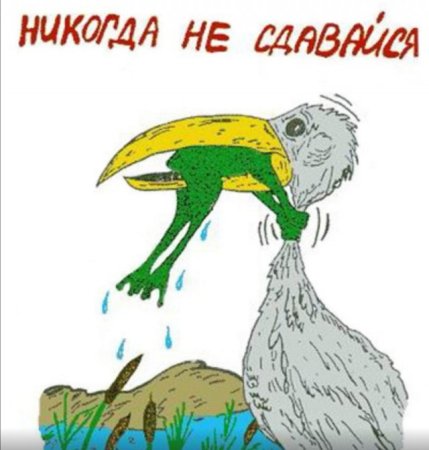Никогда не сдавайся лягушка