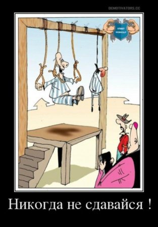 Демотиваторы карикатуры