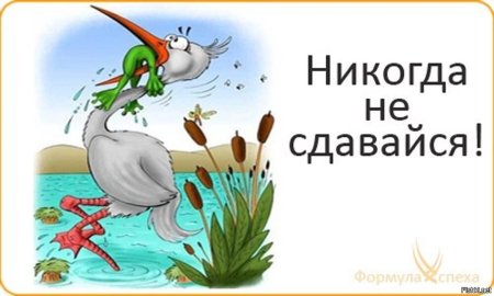 Никогда не сдавайся!