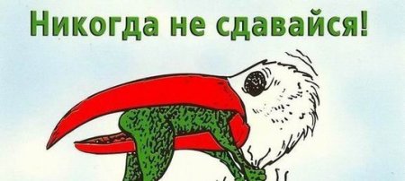 Никогда не сдаваться